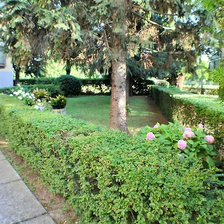 Casa Felice Apartment Favaro Veneto Exterior photo